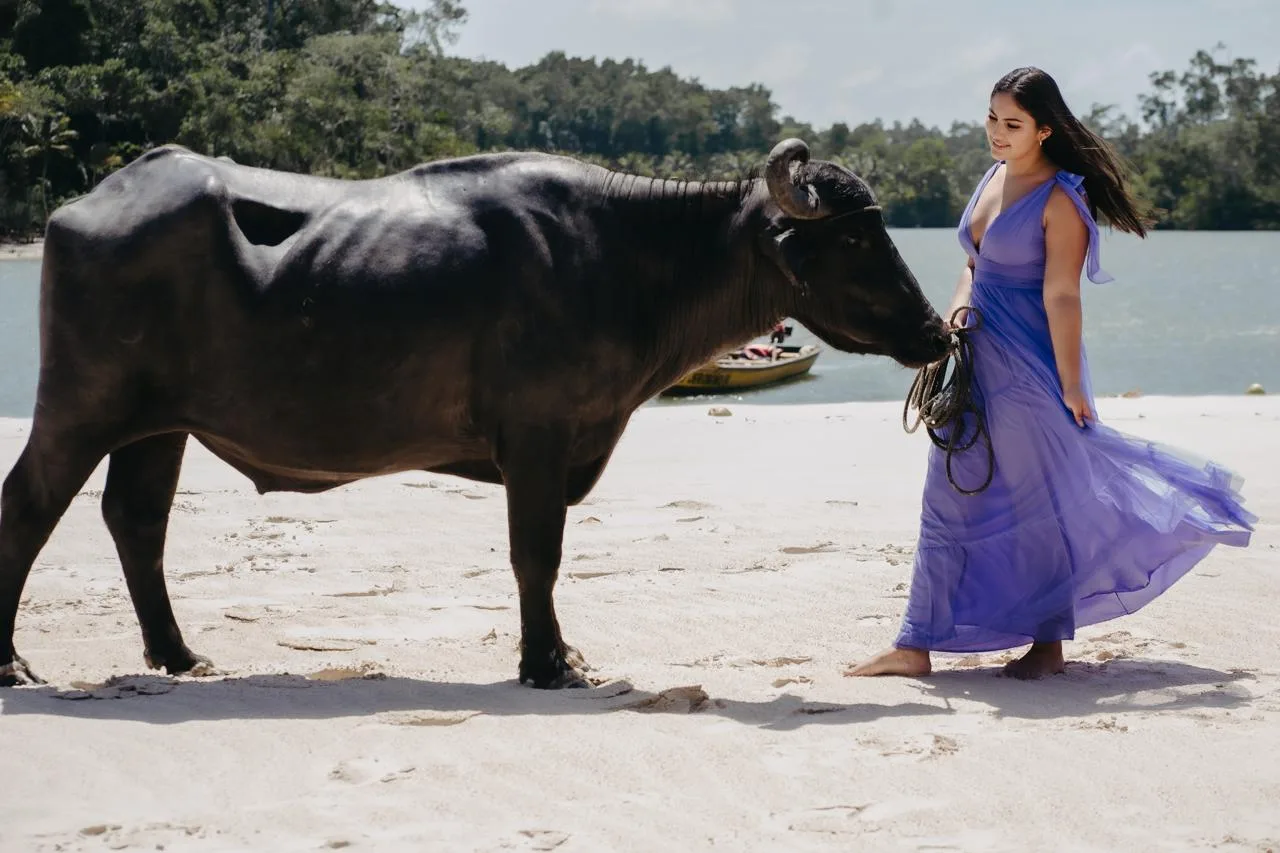 Marajó Completo: 4 Dias de Cultura, Tradição e Belezas Naturais
