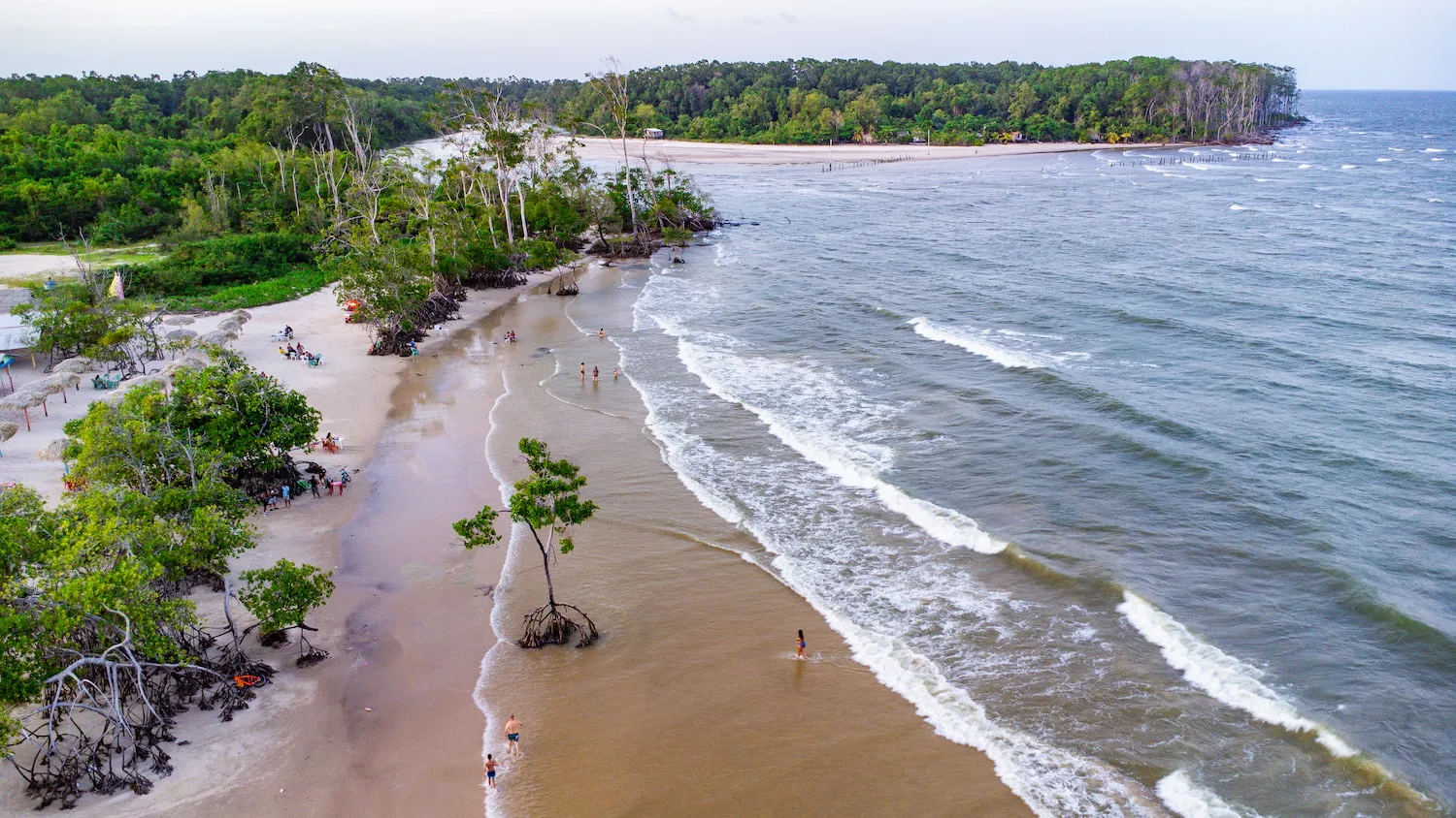 Marajó Express: Uma Jornada Cultural e Natural em 1 Dia